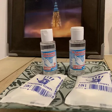 Daire Toledo Centro - Apartamentos Aloha Toledo Toledo